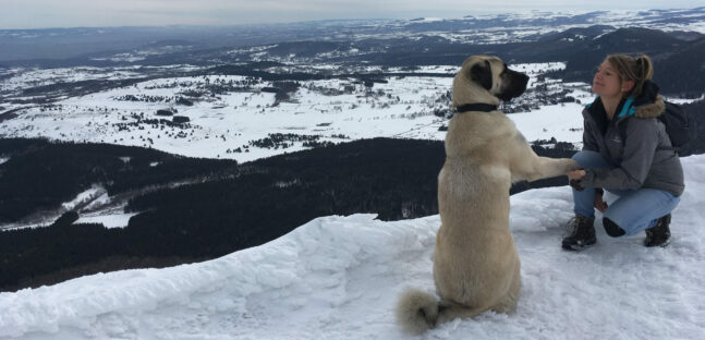nadege et jaegger a la montagne